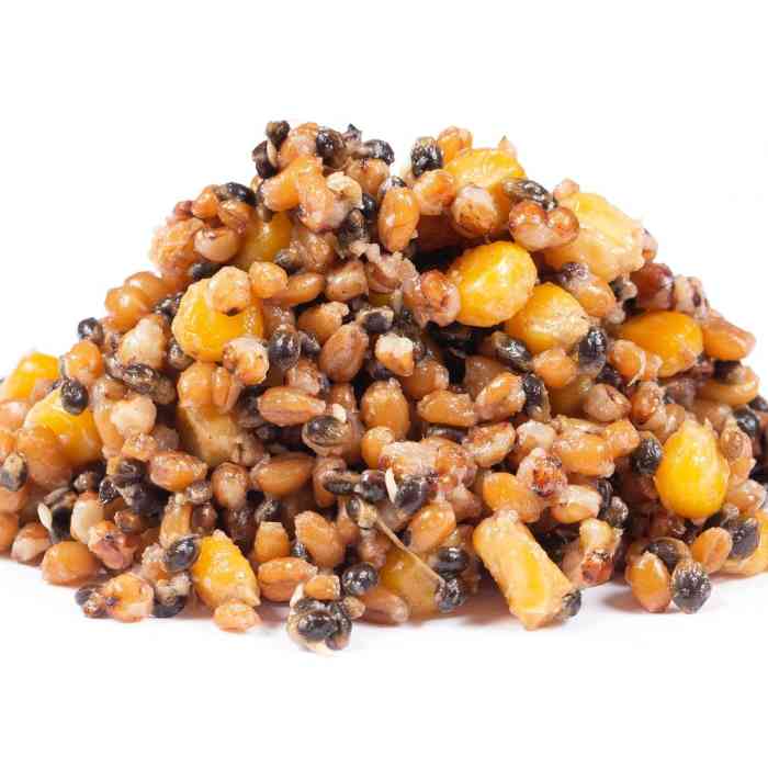 Зерновая смесь MINENKO Spod Mix Chili (4кг)