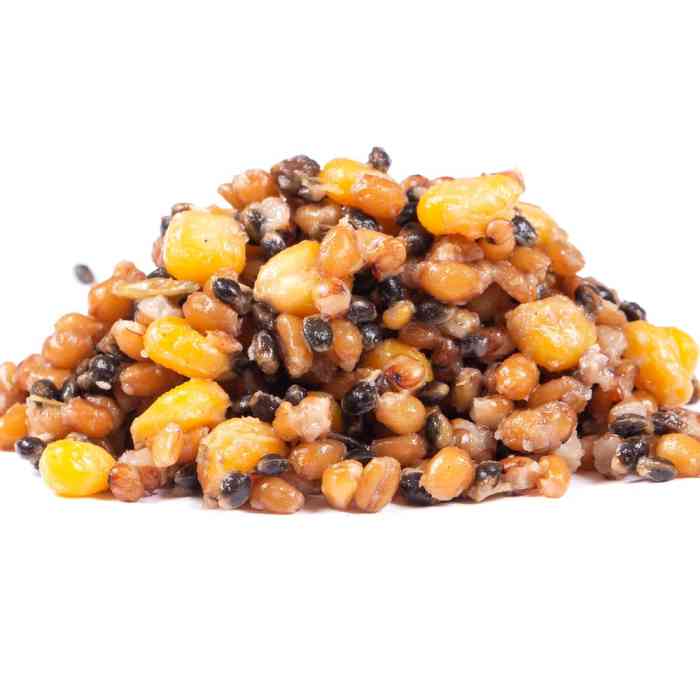 Зерновая смесь MINENKO Spod Mix (1кг)